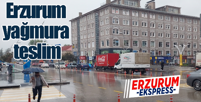 Erzurum yağmura teslim