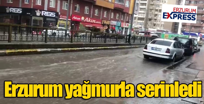 Erzurum yağmurla serinledi