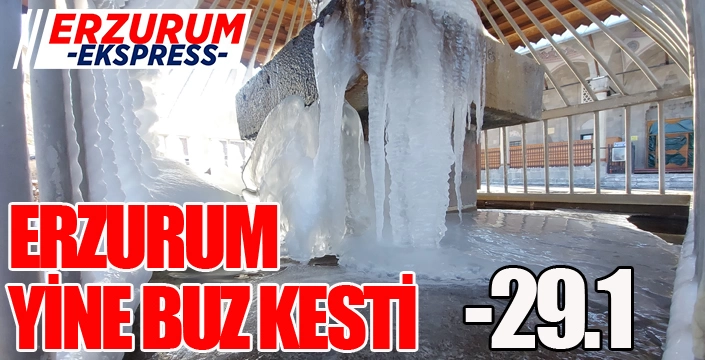 Erzurum yine buz kesti
