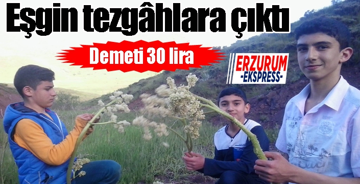 Eşgin tezgâhlara çıktı, demeti 30 lira