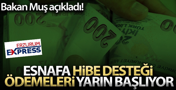 Esnafa hibe desteği ödemeleri yarın başlıyor