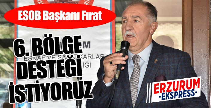 ESOB Başkanı Fırat: “6’ncı bölge desteği istiyoruz”