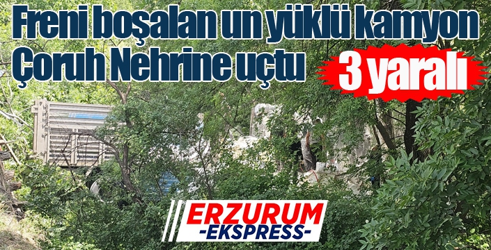 Freni boşalan un yüklü kamyon Çoruh Nehrine uçtu
