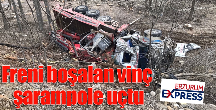 Freni boşalan vinç şarampole uçtu