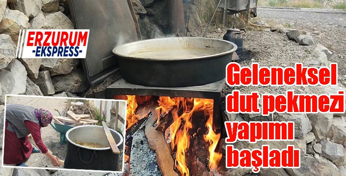 Geleneksel dut pekmezi yapımı başladı