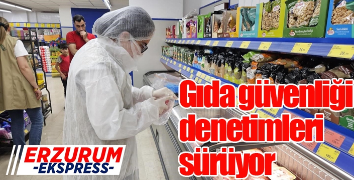 Gıda güvenliği denetimleri sürüyor