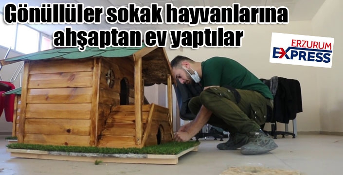 Gönüllüler sokak hayvanlarına ahşaptan ev yaptılar