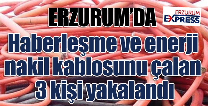 Haberleşme ve enerji nakil kablosunu çalan 3 kişi yakalandı