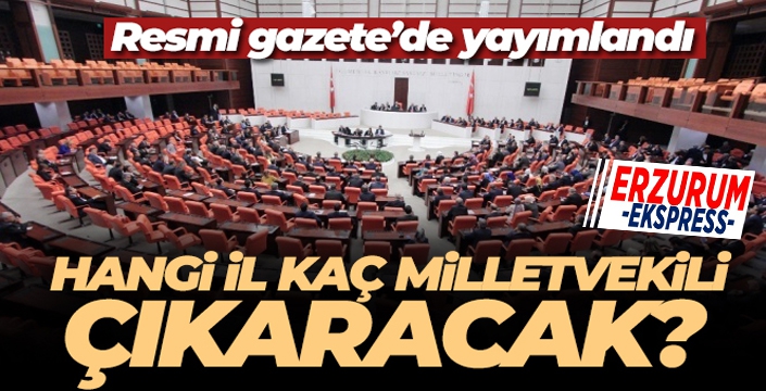 Hangi il kaç milletvekili çıkaracak? Resmi Gazete'de yayımlandı!