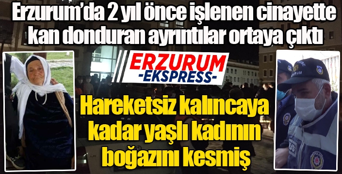 Hareketsiz kalıncaya kadar yaşlı kadının boğazını kesmiş