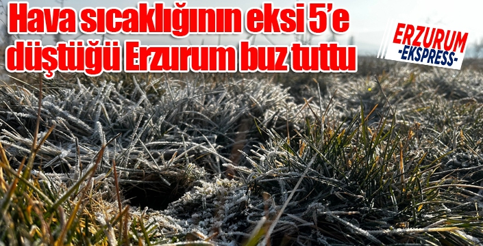 Hava sıcaklığının eksi 5’e düştüğü Erzurum buz tuttu