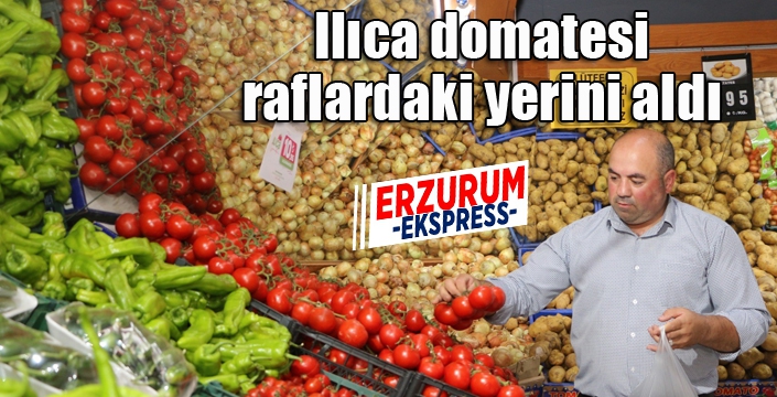 Ilıca domatesi raflardaki yerini aldı