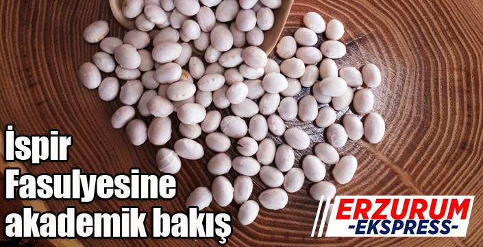 İspir Fasulyesine akademik bakış