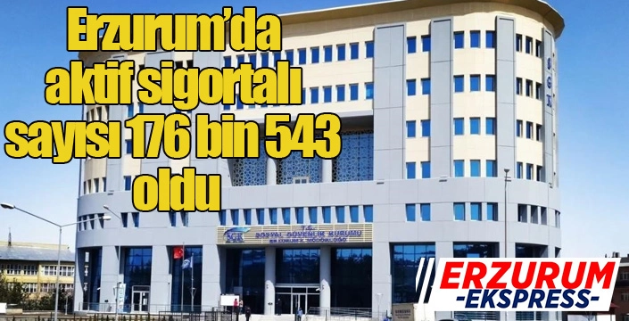 İşte Erzurum’un çalışma hayatı