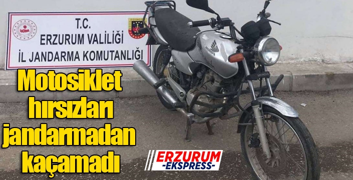 Jandarma motosiklet hırsızlarını yakaladı