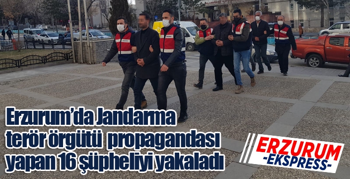 Jandarma terör örgütü propagandası yapan 16 şüpheliyi yakaladı