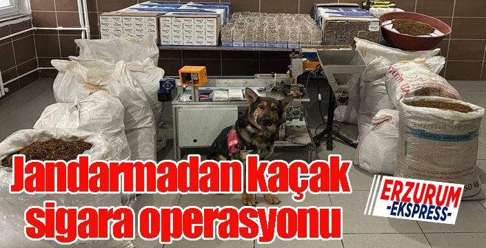 Jandarmadan kaçak sigara operasyonu