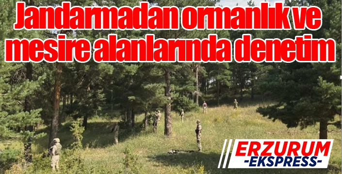 Jandarmadan mesire ve ormanlık alanlarda denetim...