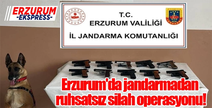 Jandarmadan ruhsatsız silah operasyonu!