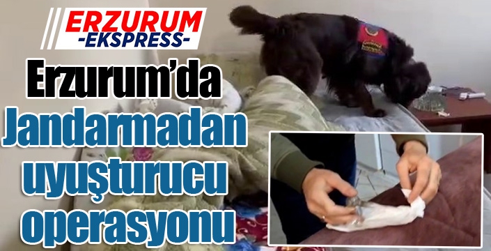 Jandarmadan uyuşturucu operasyonu