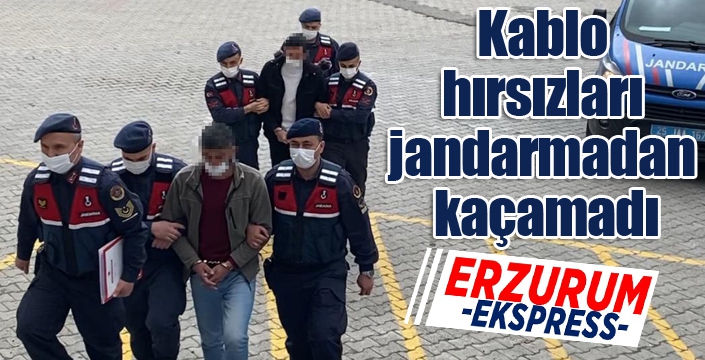 Kablo hırsızları jandarmadan kaçamadı