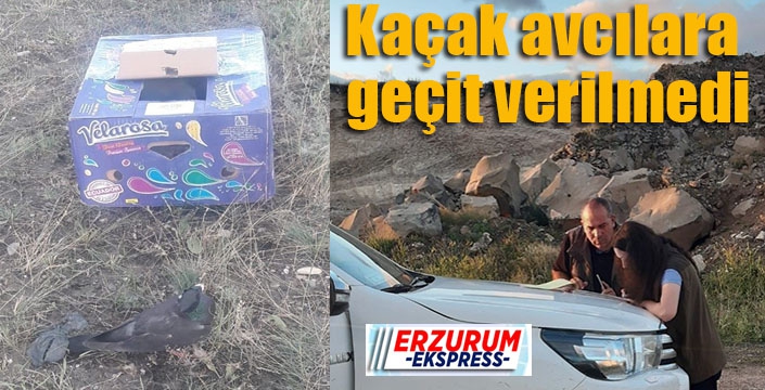 Kaçak avcılara geçit verilmedi