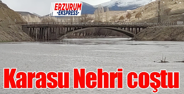 Karasu Nehri coştu