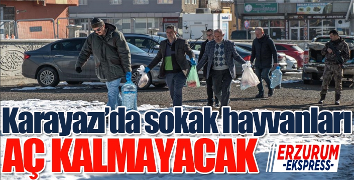 Karayazı'da sokak hayvanları aç kalmayacak...