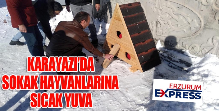 Karayazı'da sokak hayvanlarına sıcak yuva...