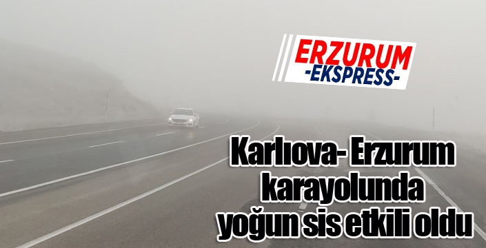 Karlıova- Erzurum kara yolunda yoğun sis etkili oldu