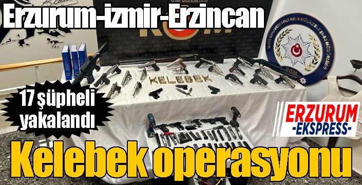 Kelebek Operasyonu: 17 gözaltı...