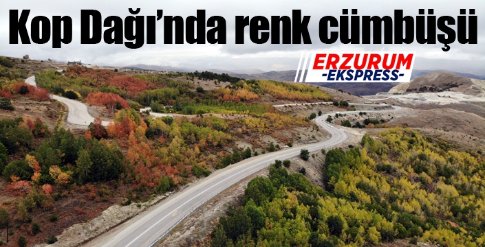 Kop Dağında renk cümbüşü