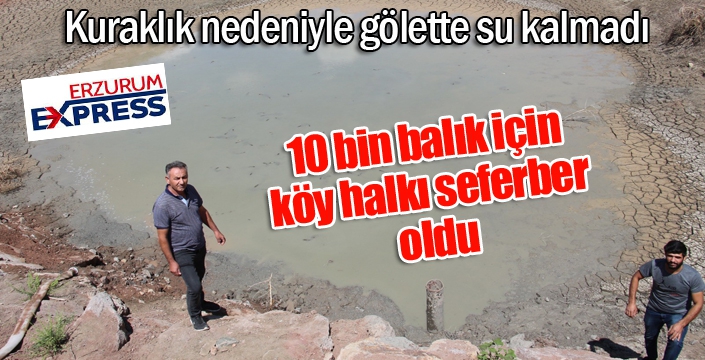 Kuraklık hat safhaya ulaştı, 10 bin balık için köy halkı seferber oldu