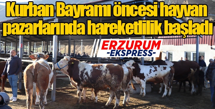 Kurban Bayramı öncesi hayvan pazarlarında hareketlilik başladı