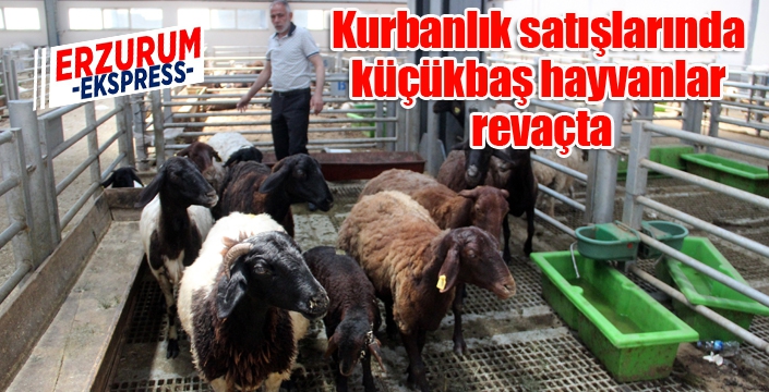 Kurbanlık satışlarında küçükbaş hayvanlar revaçta