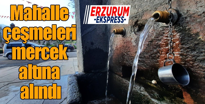 Mahalle çeşmeleri mercek altına alındı