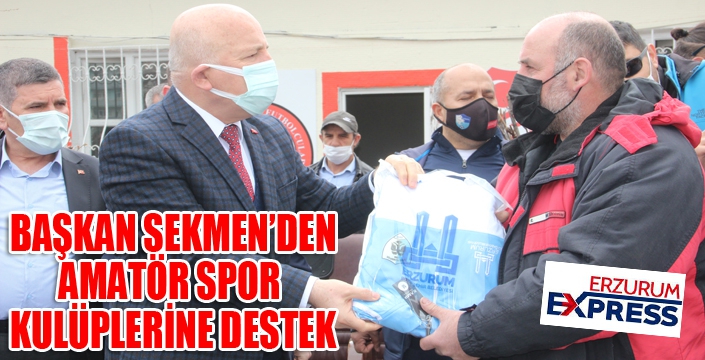 Mehmet Sekmen: 