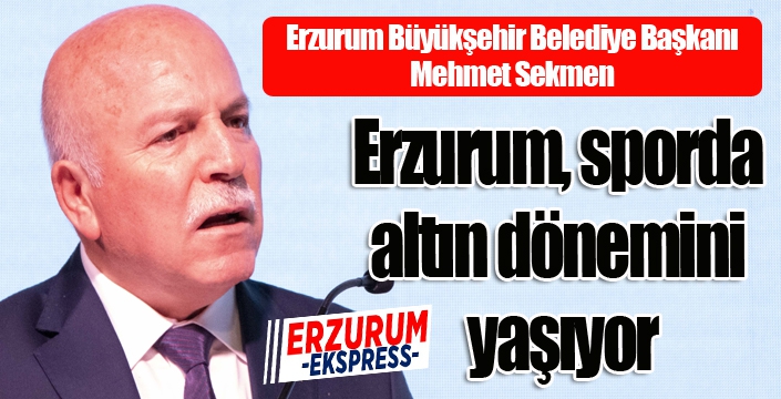 Mehmet Sekmen: 