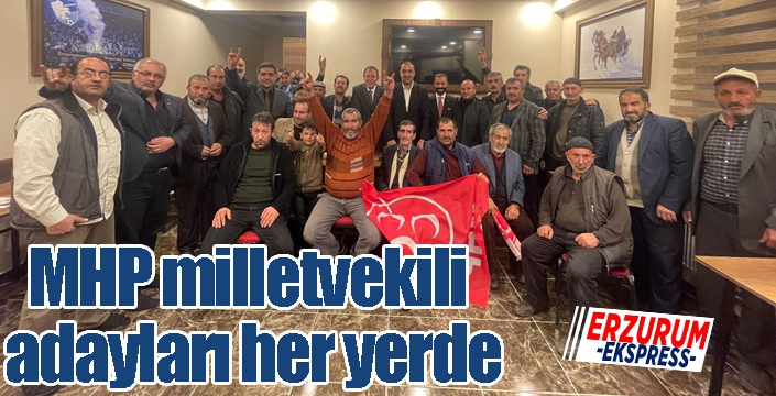 MHP milletvekili adayları her yerde