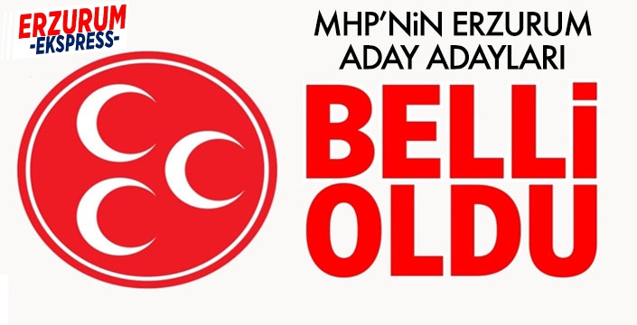 MHP'ye 27 aday adayı başvurdu