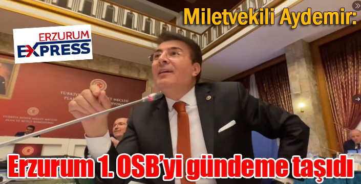 Milletvekili Aydemir, Erzurum 1. OSB’yi gündeme taşıdı