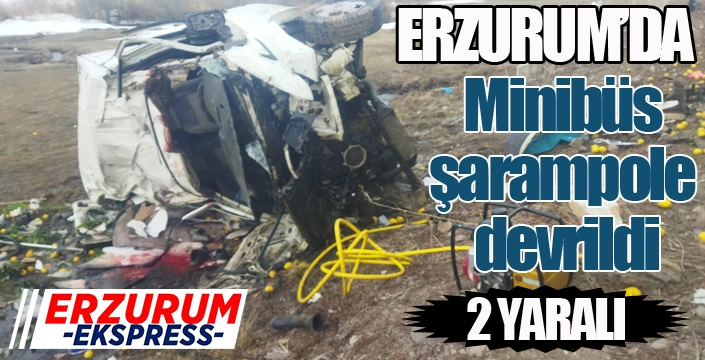 Minibüs şarampole devrildi; 2 yaralı
