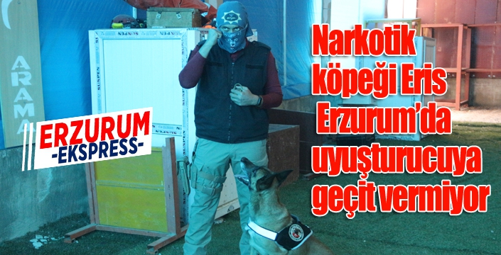 Narkotik köpeği Eris, Erzurum’da uyuşturucuya geçit vermiyor