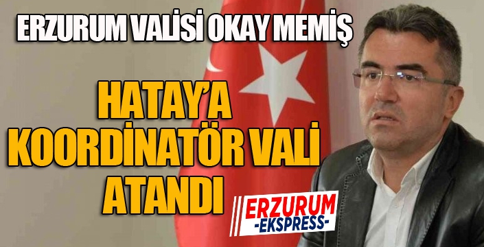 Okay Memiş, Hatay'a koordinatör vali atandı...