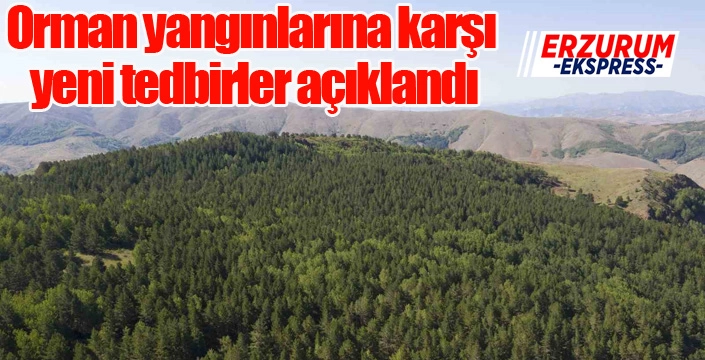 Orman yangınlarına karşı yeni tedbirler açıklandı...