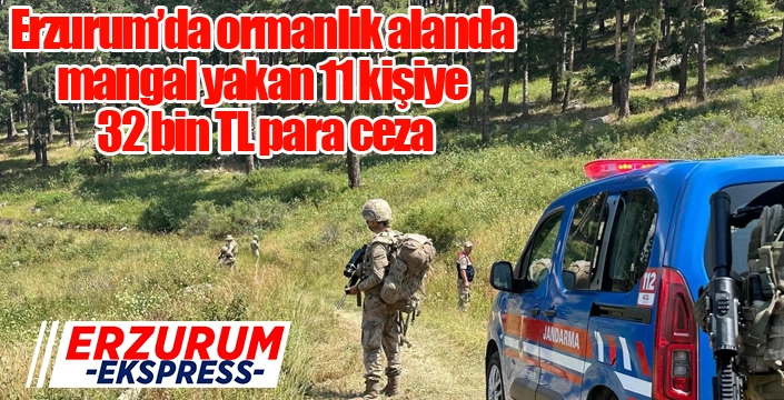 Ormanlık alanda mangal yakan 11 kişiye 32 bin TL para cezası