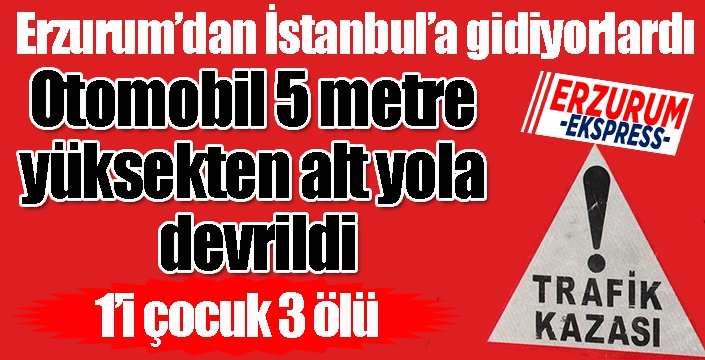 Otomobil 5 metre yüksekten alt yola devrildi: 1’i çocuk 3 ölü