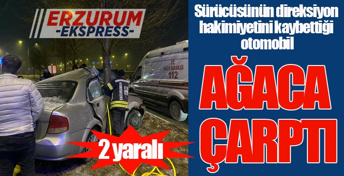 Otomobil ağaca çarptı: 2 yaralı...