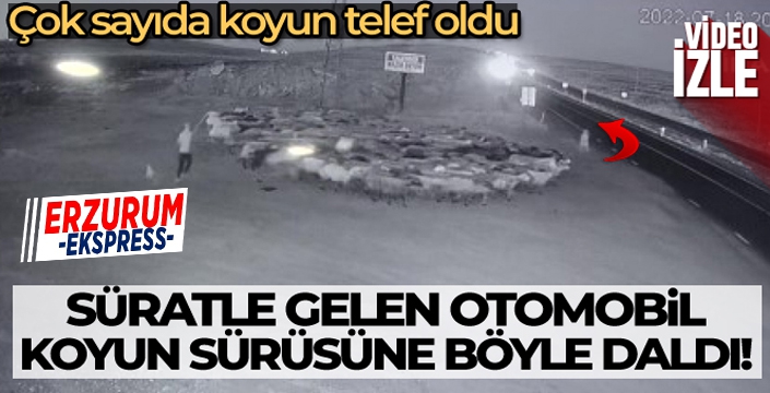 Otomobilin koyun sürüsüne dalma anı kamerada