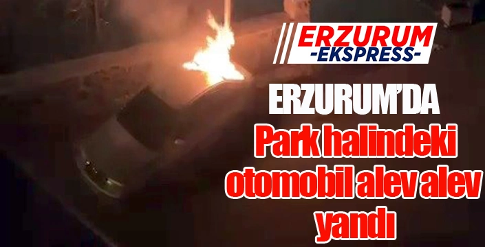 Park halindeki otomobil alev alev yandı